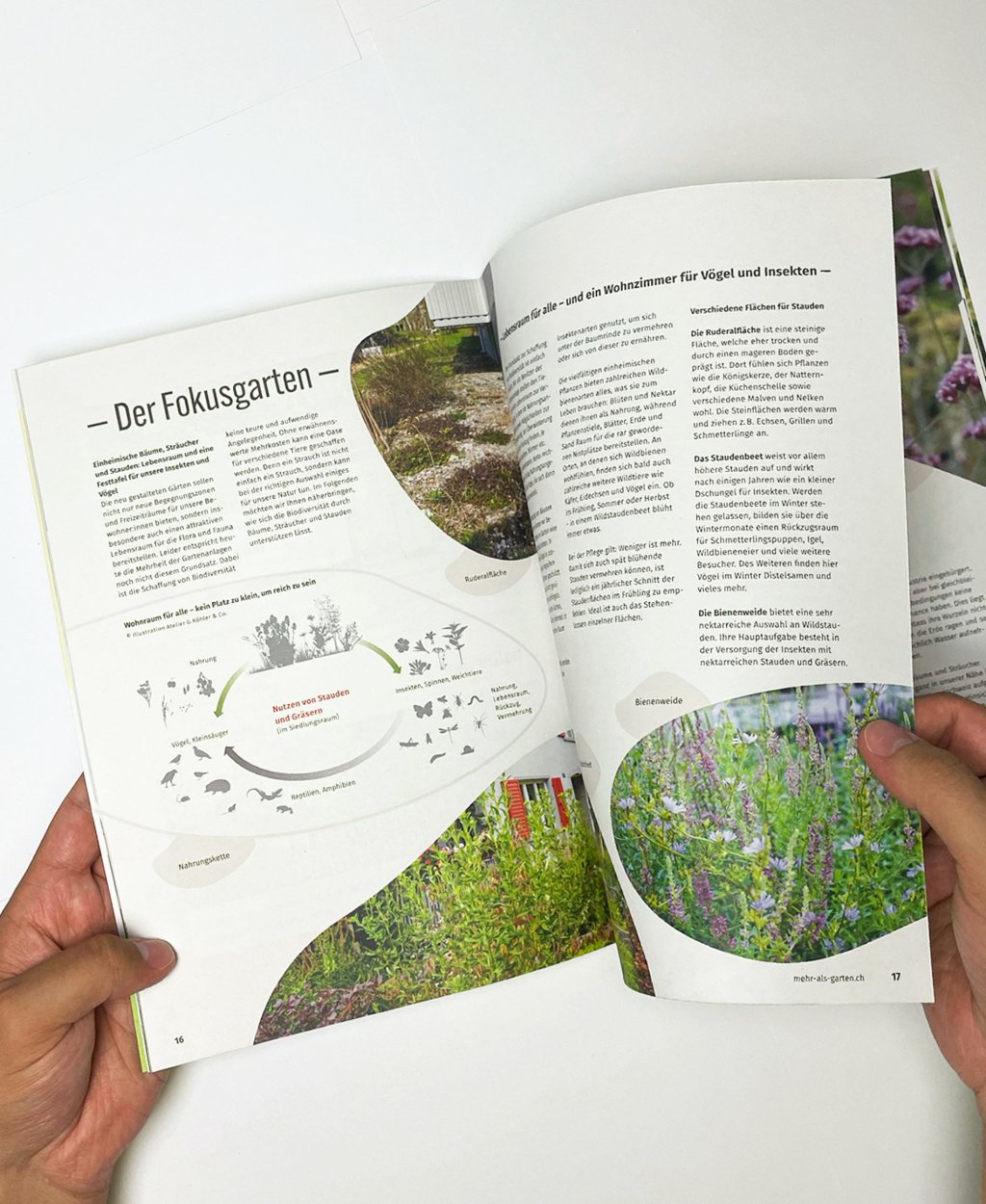 Gedruckte Bröschüre von «mehr als Garten» mit Detailansicht einer Doppelseite mit Layout und Bild